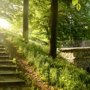 Zámecký park Loučná nad Desnou