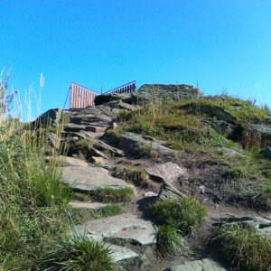 U Tetřeví chaty lookout tower and the Rysí stezka lynx trail